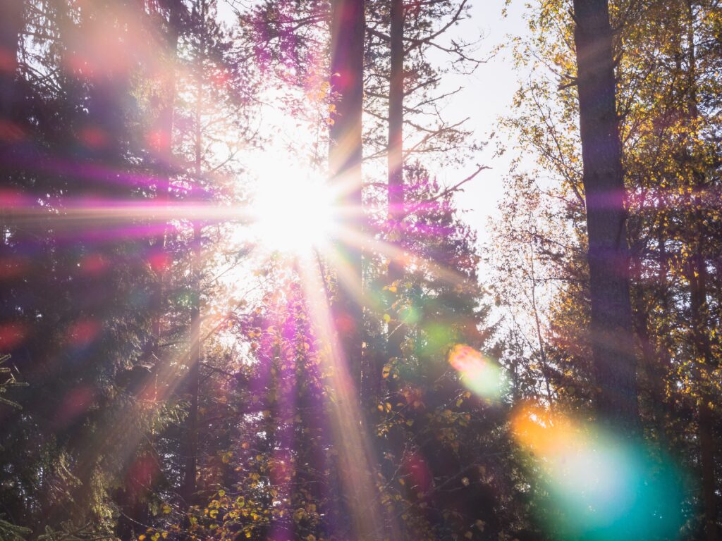 sunlight