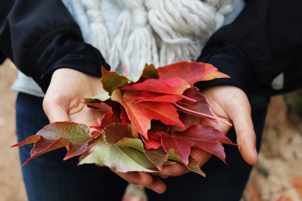 fun fall activities