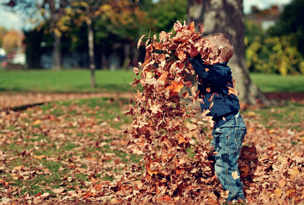 boy playing in leaves is a fun fall activity