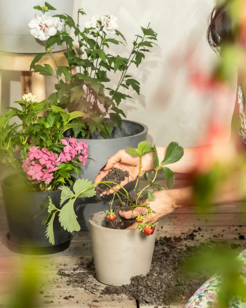 gardening as a calming summer self-care activity