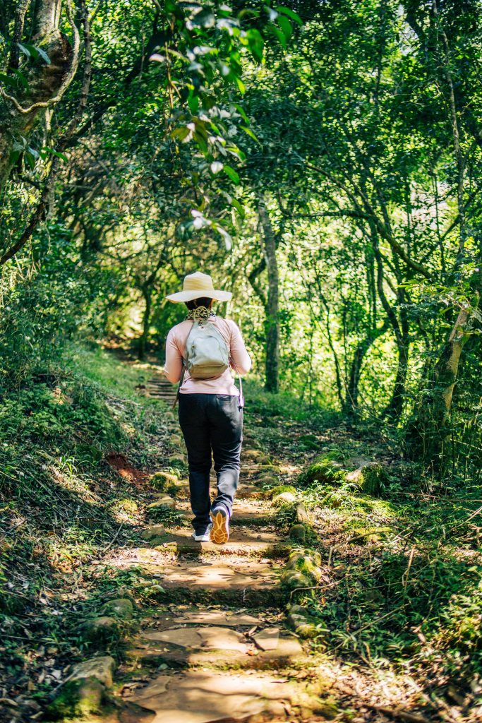 Outdoor summer bucket list ideas for adults, including hiking scenic trails and exploring nature