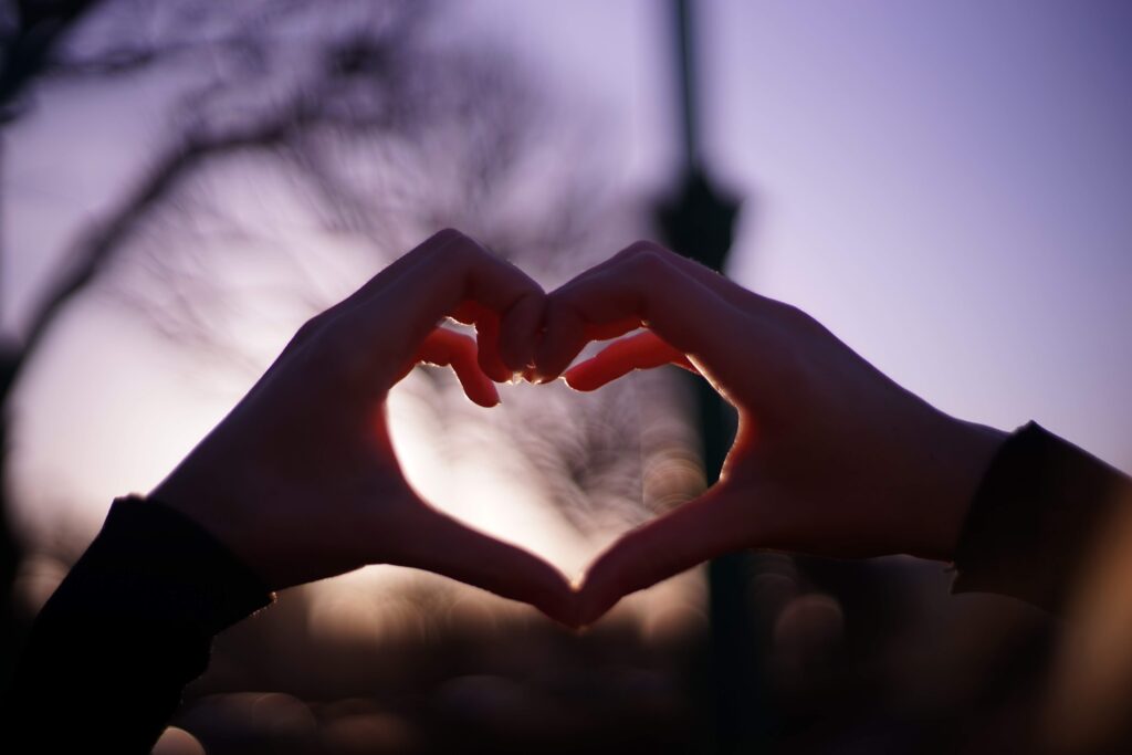heart / self-compassion 