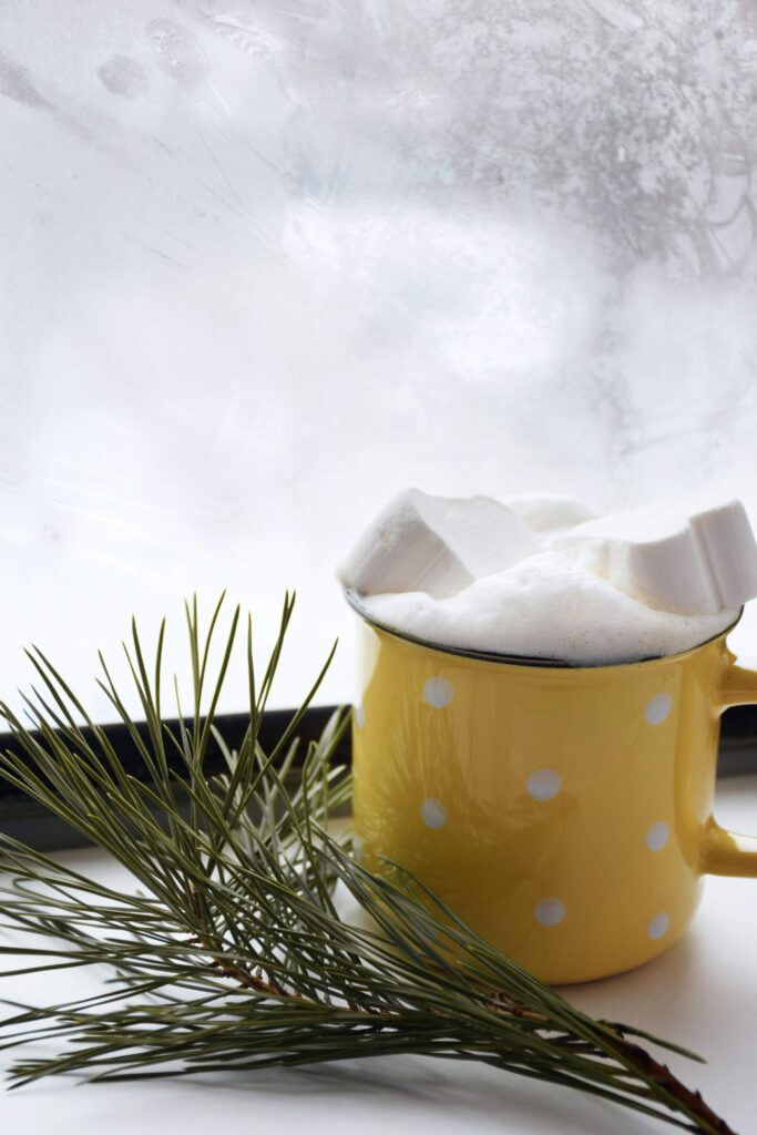 hot cocoa/winter self-care challenge