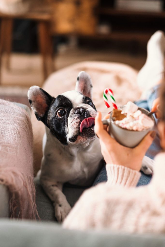 Woman enjoying a holidy treat with a dog during the Christmas season as part of self-care