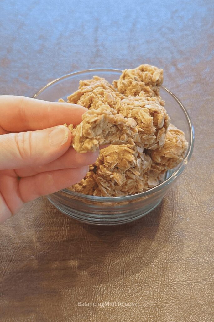 gingerbread energy balls