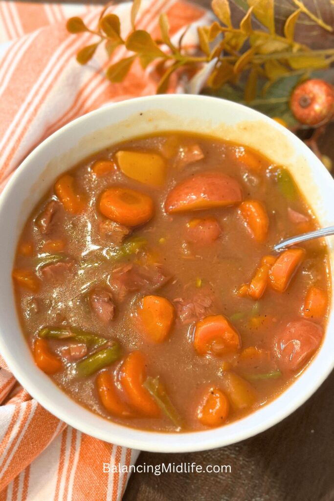 beef stew in a bowl